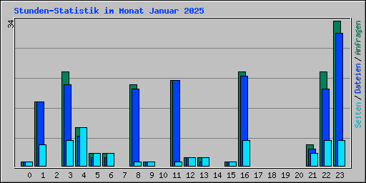 Stunden-Statistik im Monat Januar 2025